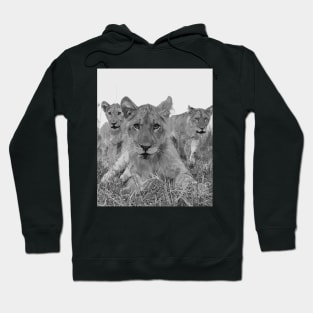 Zambia lions Hoodie